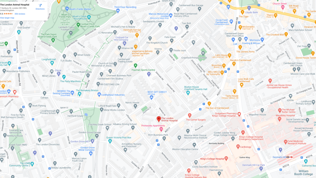 serp-ricerca-sito-web